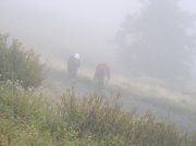 Saddle Mountain Oct 9 2005 040 